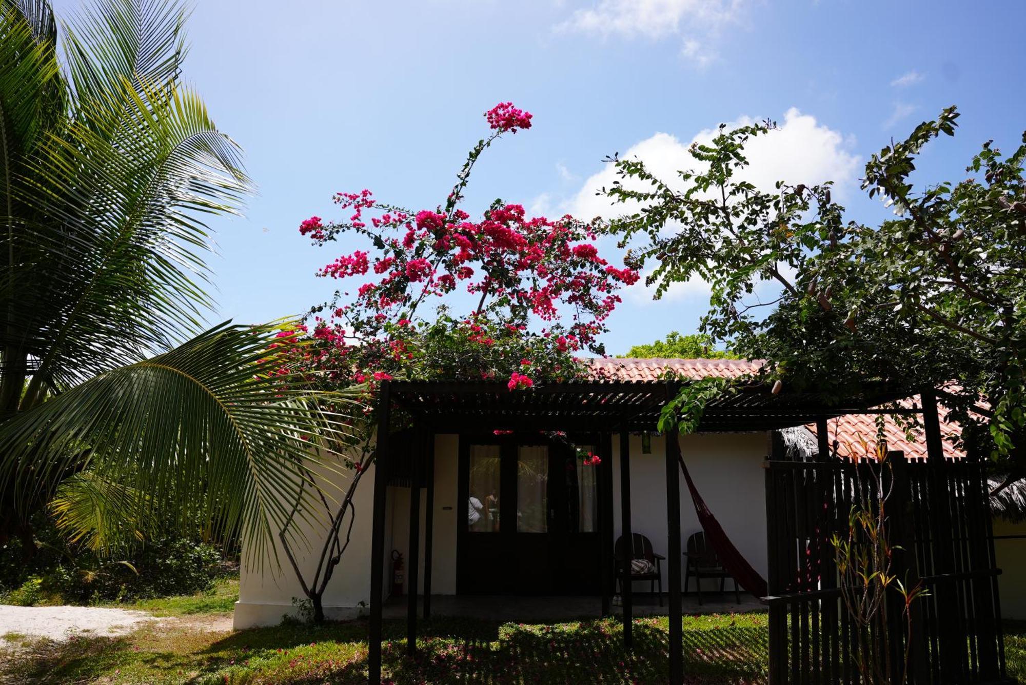 La Ferme De Georges Guest House Atins Exterior photo